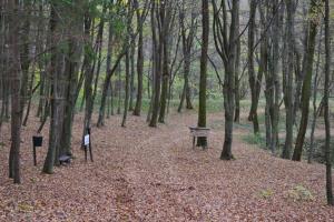 GOZDNA UČNA POT TROMEJNIK 1